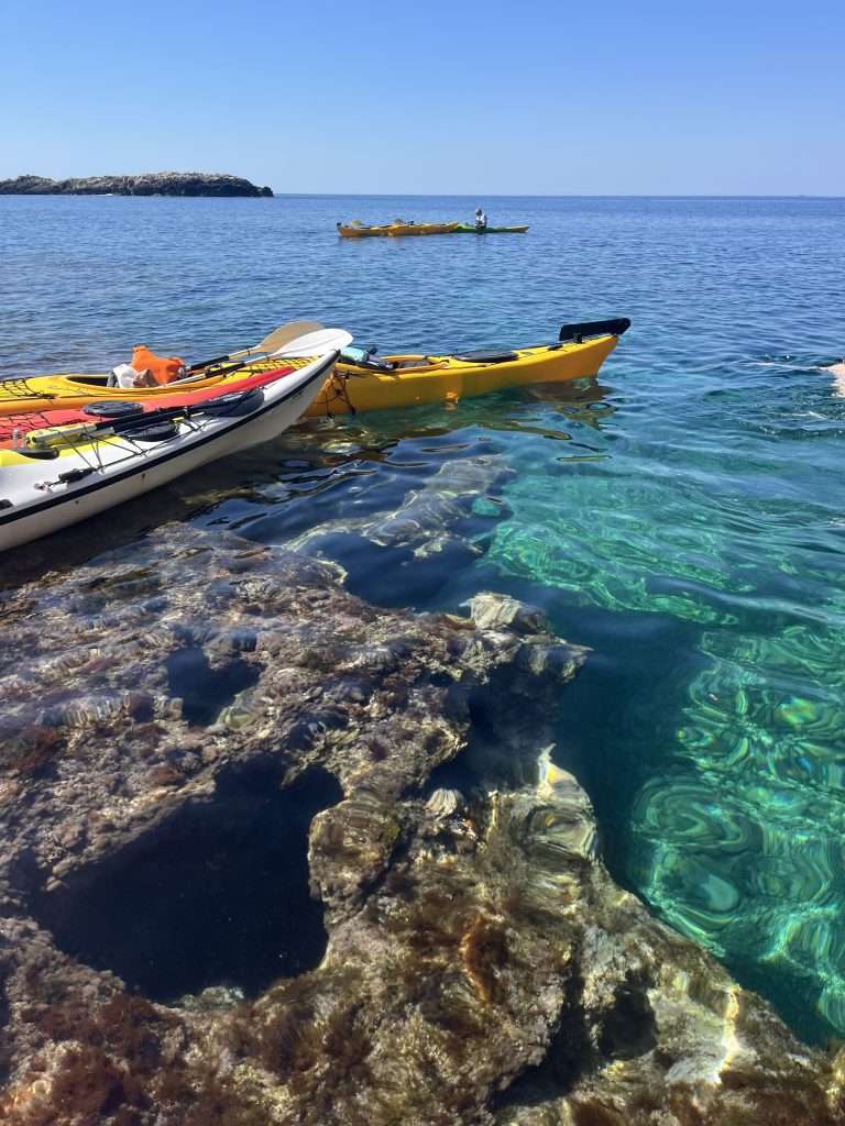 favignana beaches 052