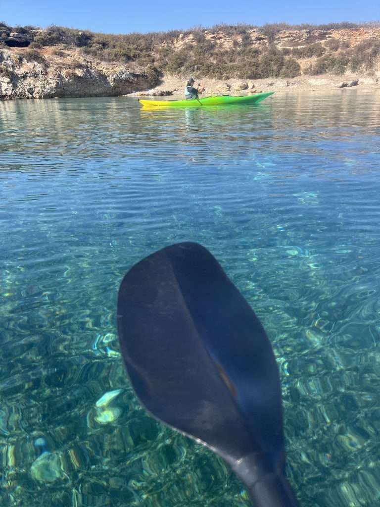 favignana beaches 072